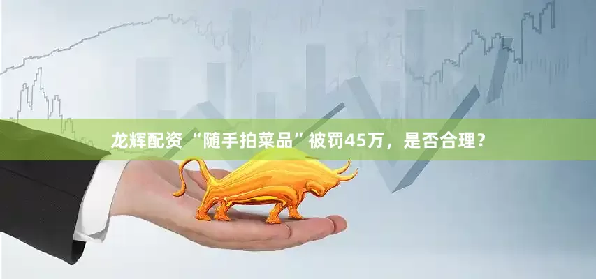 龙辉配资 “随手拍菜品”被罚45万，是否合理？